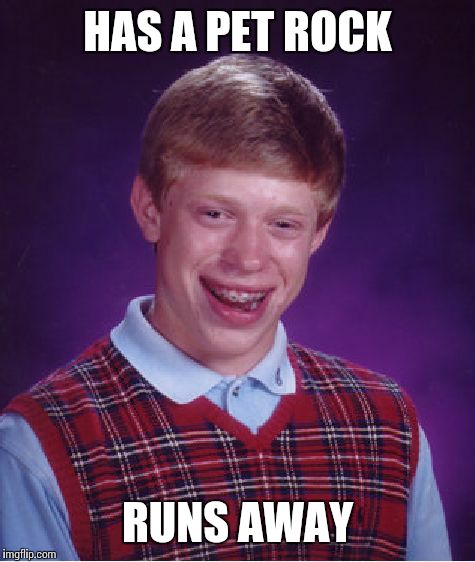 Bad Luck Brian Meme | HAS A PET ROCK RUNS AWAY | image tagged in memes,bad luck brian | made w/ Imgflip meme maker