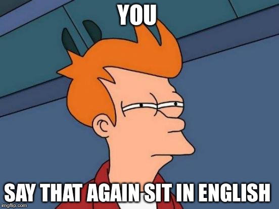 Futurama Fry | YOU SAY THAT AGAIN SIT IN ENGLISH | image tagged in memes,futurama fry | made w/ Imgflip meme maker