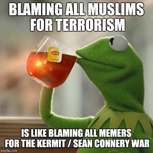 But That's None Of My Business Meme | BLAMING ALL MUSLIMS FOR TERRORISM IS LIKE BLAMING ALL MEMERS FOR THE KERMIT / SEAN CONNERY WAR | image tagged in memes,but thats none of my business,kermit the frog | made w/ Imgflip meme maker