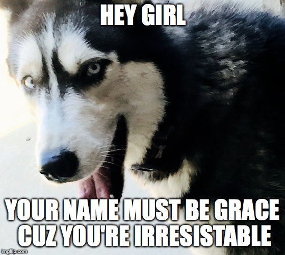HEY GIRL YOUR NAME MUST BE GRACE CUZ YOU'RE IRRESISTABLE | image tagged in hey girl,husky | made w/ Imgflip meme maker