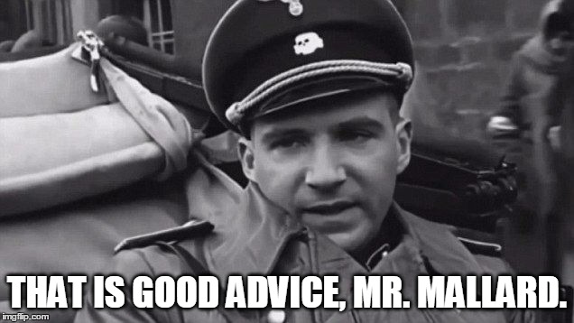 Grammar Nazi | THAT IS GOOD ADVICE, MR. MALLARD. | image tagged in grammar nazi | made w/ Imgflip meme maker