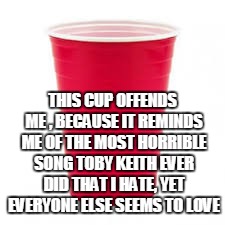 Red Cup | THIS CUP OFFENDS ME , BECAUSE IT REMINDS ME OF THE MOST HORRIBLE SONG TOBY KEITH EVER DID THAT I HATE, YET EVERYONE ELSE SEEMS TO LOVE | image tagged in red cup | made w/ Imgflip meme maker
