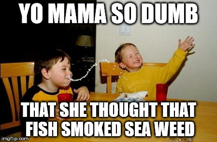 Yo Mamas So Fat Meme | YO MAMA SO DUMB THAT SHE THOUGHT THAT FISH SMOKED SEA WEED | image tagged in memes,yo mamas so fat | made w/ Imgflip meme maker