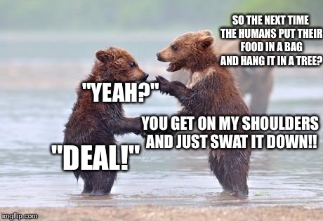 Don't Camp In THEIR Forest... | SO THE NEXT TIME THE HUMANS PUT THEIR FOOD IN A BAG AND HANG IT IN A TREE? YOU GET ON MY SHOULDERS AND JUST SWAT IT DOWN!! "DEAL!" "YEAH?" | image tagged in bear shake,animals,memes | made w/ Imgflip meme maker
