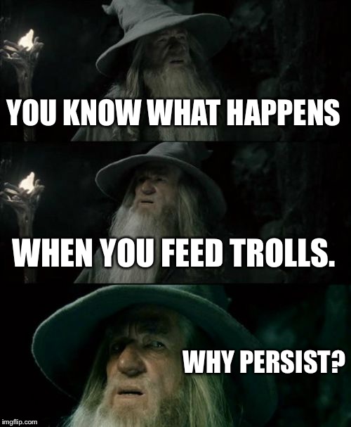 Confused Gandalf Meme | YOU KNOW WHAT HAPPENS WHEN YOU FEED TROLLS. WHY PERSIST? | image tagged in memes,confused gandalf | made w/ Imgflip meme maker