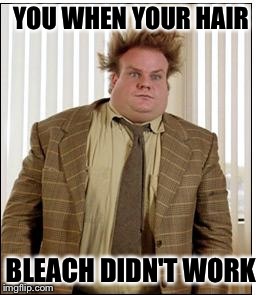Chris Farley Hair | YOU WHEN YOUR HAIR BLEACH DIDN'T WORK | image tagged in chris farley hair | made w/ Imgflip meme maker