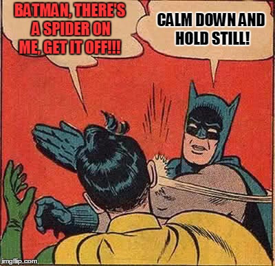 Hmm...Bit By a Spider or Slapped By a Bat? | BATMAN, THERE'S A SPIDER ON ME, GET IT OFF!!! CALM DOWN AND HOLD STILL! | image tagged in memes,batman slapping robin,spider | made w/ Imgflip meme maker