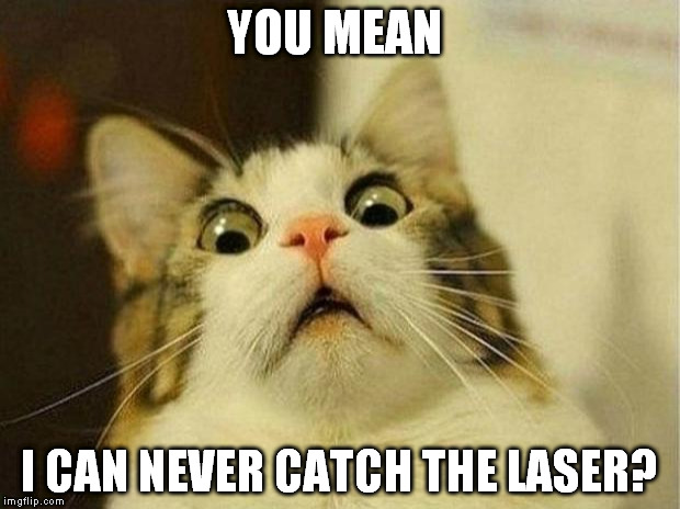 Scared Cat Meme | YOU MEAN I CAN NEVER CATCH THE LASER? | image tagged in memes,scared cat | made w/ Imgflip meme maker