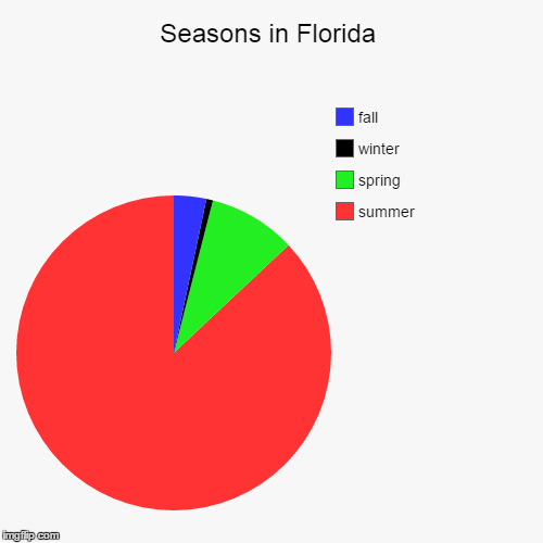 image tagged in funny,pie charts,summer,florida,winter,weather | made w/ Imgflip chart maker