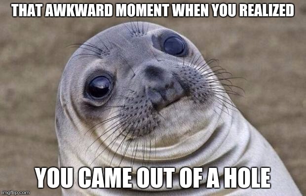 Awkward Moment Sealion Meme | THAT AWKWARD MOMENT WHEN YOU REALIZED YOU CAME OUT OF A HOLE | image tagged in memes,awkward moment sealion | made w/ Imgflip meme maker