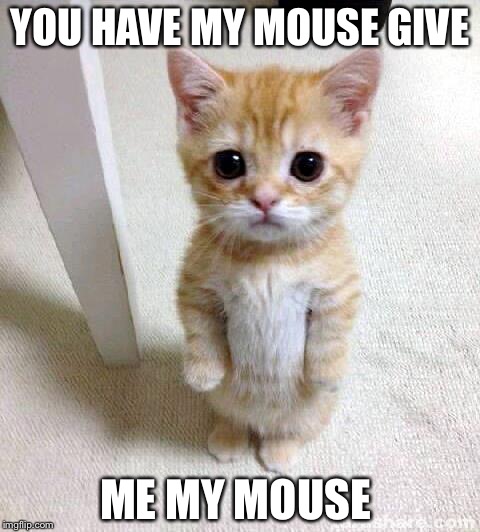 Cute Cat | YOU HAVE MY MOUSE GIVE ME MY MOUSE | image tagged in memes,cute cat | made w/ Imgflip meme maker