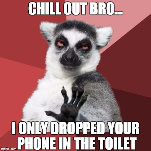 Chill Out | CHILL OUT BRO... I ONLY DROPPED YOUR PHONE IN THE TOILET | image tagged in memes,chill out lemur | made w/ Imgflip meme maker