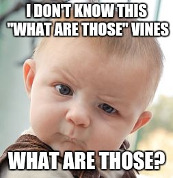 Skeptical Baby Meme | I DON'T KNOW THIS "WHAT ARE THOSE" VINES WHAT ARE THOSE? | image tagged in memes,skeptical baby | made w/ Imgflip meme maker