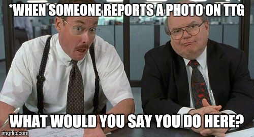 The Bobs | *WHEN SOMEONE REPORTS A PHOTO ON TTG WHAT WOULD YOU SAY YOU DO HERE? | image tagged in memes,the bobs | made w/ Imgflip meme maker