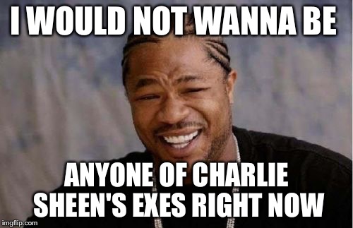 Yo Dawg Heard You | I WOULD NOT WANNA BE ANYONE OF CHARLIE SHEEN'S EXES RIGHT NOW | image tagged in memes,yo dawg heard you | made w/ Imgflip meme maker