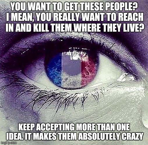 Quote from The West Wing episode "Isaac and Ishmael" | YOU WANT TO GET THESE PEOPLE? I MEAN, YOU REALLY WANT TO REACH IN AND KILL THEM WHERE THEY LIVE? KEEP ACCEPTING MORE THAN ONE IDEA. IT MAKES | image tagged in prayers for paris | made w/ Imgflip meme maker