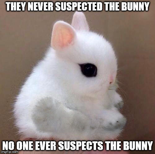 THEY NEVER SUSPECTED THE BUNNY NO ONE EVER SUSPECTS THE BUNNY | image tagged in bunny | made w/ Imgflip meme maker