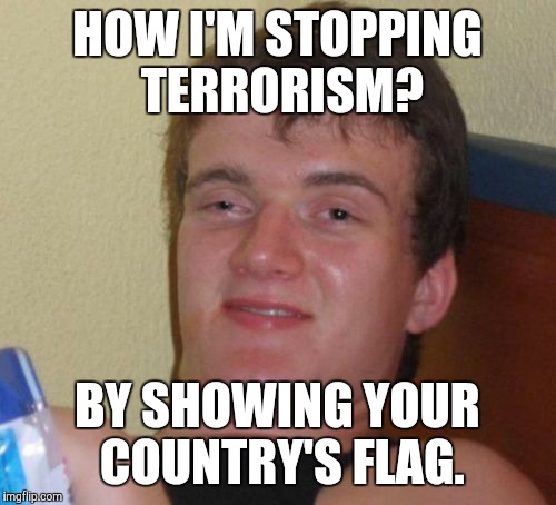 10 Guy Meme | HOW I'M STOPPING TERRORISM? BY SHOWING YOUR COUNTRY'S FLAG. | image tagged in memes,10 guy | made w/ Imgflip meme maker