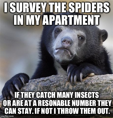 Confession Bear | I SURVEY THE SPIDERS IN MY APARTMENT IF THEY CATCH MANY INSECTS OR ARE AT A RESONABLE NUMBER THEY CAN STAY. IF NOT I THROW THEM OUT. | image tagged in memes,confession bear | made w/ Imgflip meme maker