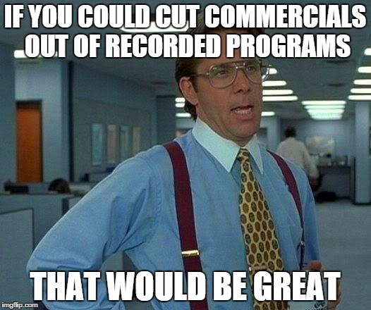 That Would Be Great | IF YOU COULD CUT COMMERCIALS OUT OF RECORDED PROGRAMS THAT WOULD BE GREAT | image tagged in memes,that would be great | made w/ Imgflip meme maker