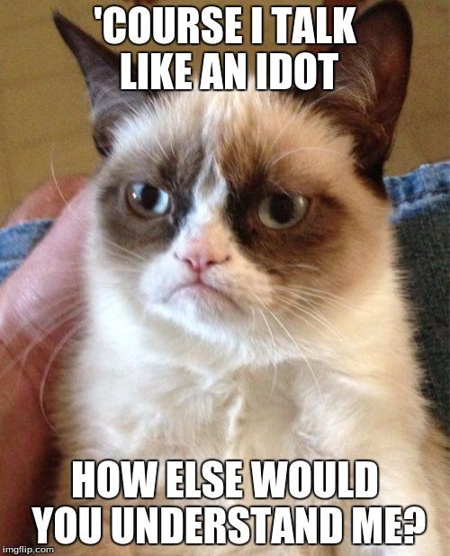 Talkin' to idiots like | 'COURSE I TALK LIKE AN IDOT HOW ELSE WOULD YOU UNDERSTAND ME? | image tagged in memes,grumpy cat | made w/ Imgflip meme maker