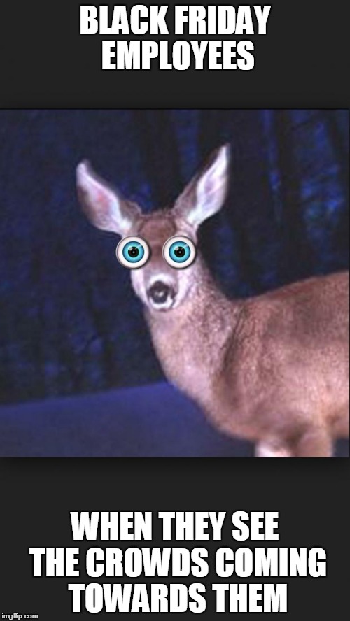 deer in headlights | BLACK FRIDAY EMPLOYEES WHEN THEY SEE THE CROWDS COMING TOWARDS THEM | image tagged in deer in headlights | made w/ Imgflip meme maker