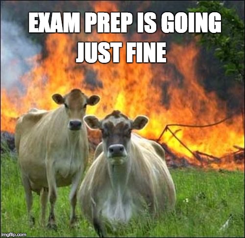 Evil Cows Meme | EXAM PREP IS GOING JUST FINE | image tagged in memes,evil cows | made w/ Imgflip meme maker