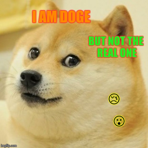 Doge | I AM DOGE BUT NOT THE REAL ONE  | image tagged in memes,doge | made w/ Imgflip meme maker