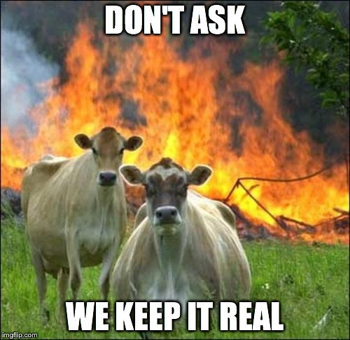 Evil Cows | DON'T ASK WE KEEP IT REAL | image tagged in memes,evil cows | made w/ Imgflip meme maker