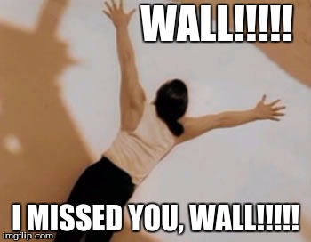 WALL!!!!! I MISSED YOU, WALL!!!!! | image tagged in wall | made w/ Imgflip meme maker