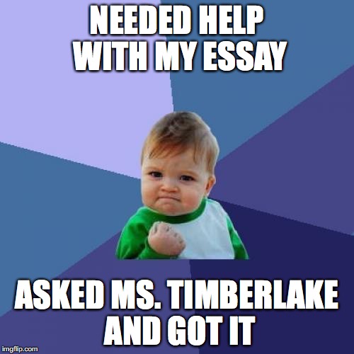 Success Kid Meme | NEEDED HELP WITH MY ESSAY ASKED MS. TIMBERLAKE AND GOT IT | image tagged in memes,success kid | made w/ Imgflip meme maker