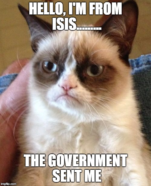 Grumpy Cat | HELLO, I'M FROM ISIS......... THE GOVERNMENT SENT ME | image tagged in memes,grumpy cat | made w/ Imgflip meme maker