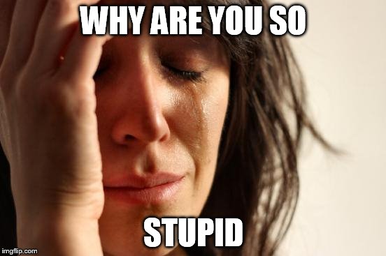 First World Problems | WHY ARE YOU SO STUPID | image tagged in memes,first world problems | made w/ Imgflip meme maker