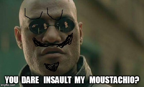 Matrix Morpheus Meme | YOU  DARE   INSAULT  MY   MOUSTACHIO? | image tagged in memes,matrix morpheus | made w/ Imgflip meme maker