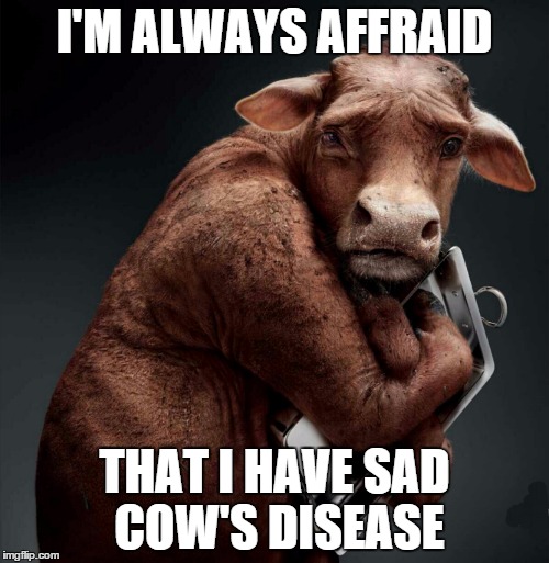 Sad Cow's Disease | I'M ALWAYS AFFRAID THAT I HAVE SAD COW'S DISEASE | image tagged in memes,funny,animals,sad cow | made w/ Imgflip meme maker