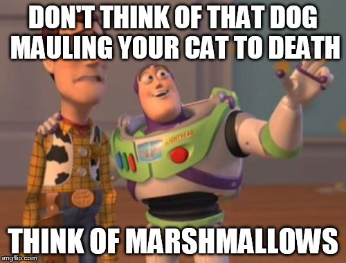 X, X Everywhere Meme | DON'T THINK OF THAT DOG MAULING YOUR CAT TO DEATH THINK OF MARSHMALLOWS | image tagged in memes,x x everywhere | made w/ Imgflip meme maker