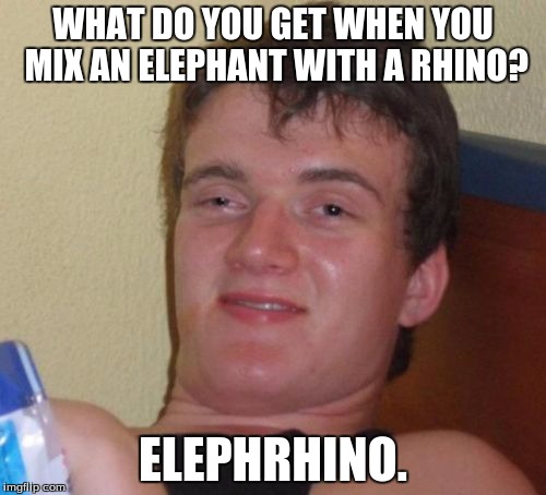 10 Guy | WHAT DO YOU GET WHEN YOU MIX AN ELEPHANT WITH A RHINO? ELEPHRHINO. | image tagged in memes,10 guy | made w/ Imgflip meme maker