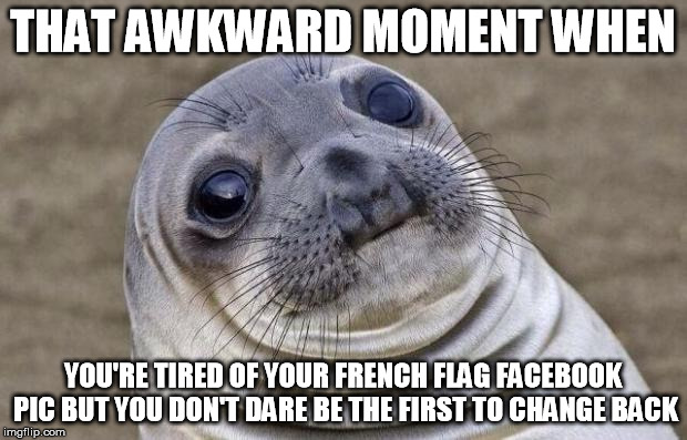 French Flag Facebook Profile Pic Getting Awkward Cuz You're Sick Of It | THAT AWKWARD MOMENT WHEN YOU'RE TIRED OF YOUR FRENCH FLAG FACEBOOK PIC BUT YOU DON'T DARE BE THE FIRST TO CHANGE BACK | image tagged in memes,awkward moment sealion,french,facebook,profile | made w/ Imgflip meme maker