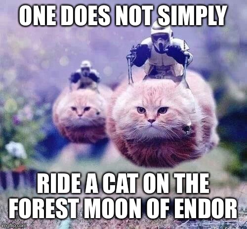 ONE DOES NOT SIMPLY RIDE A CAT ON THE FOREST MOON OF ENDOR | image tagged in riding a cat into endor | made w/ Imgflip meme maker