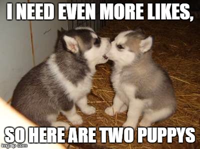 Cute Puppies Meme | I NEED EVEN MORE LIKES, SO HERE ARE TWO PUPPYS | image tagged in memes,cute puppies | made w/ Imgflip meme maker