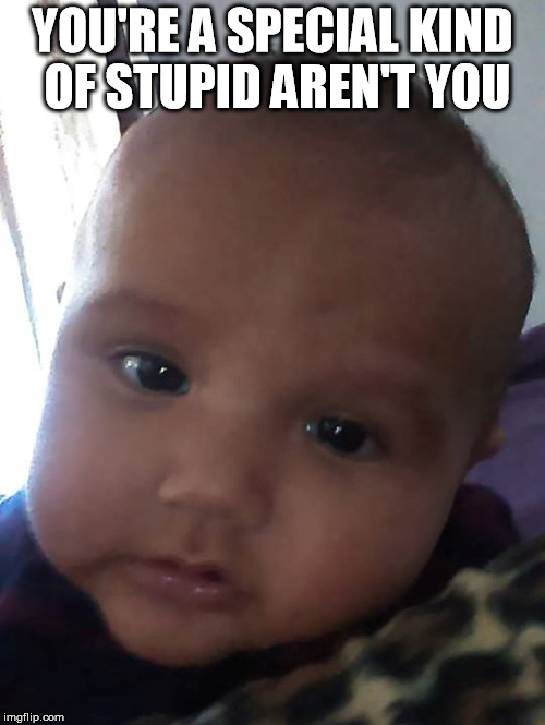 Sarcastic baby  | YOU'RE A SPECIAL KIND OF STUPID AREN'T YOU | image tagged in funny,jokes,ridiculously photogenic baby | made w/ Imgflip meme maker