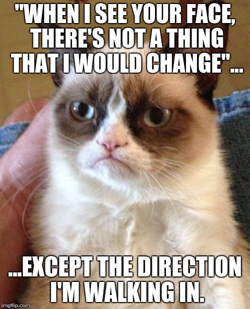 Grumpy Cat | "WHEN I SEE YOUR FACE, THERE'S NOT A THING THAT I WOULD CHANGE"... ...EXCEPT THE DIRECTION I'M WALKING IN. | image tagged in memes,grumpy cat | made w/ Imgflip meme maker