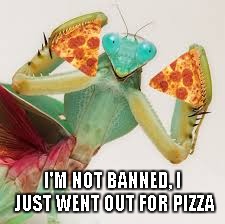 I'M NOT BANNED, I JUST WENT OUT FOR PIZZA | made w/ Imgflip meme maker