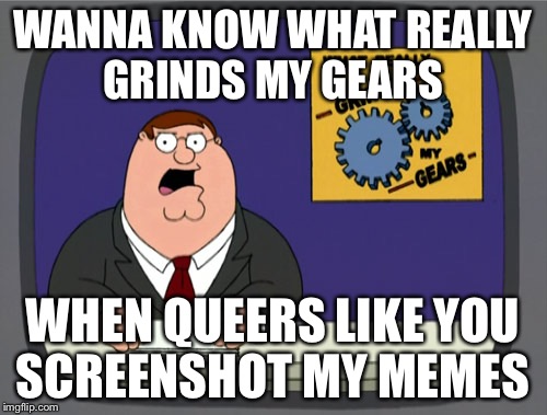 Peter Griffin News Meme | WANNA KNOW WHAT REALLY GRINDS MY GEARS WHEN QUEERS LIKE YOU SCREENSHOT MY MEMES | image tagged in memes,peter griffin news | made w/ Imgflip meme maker