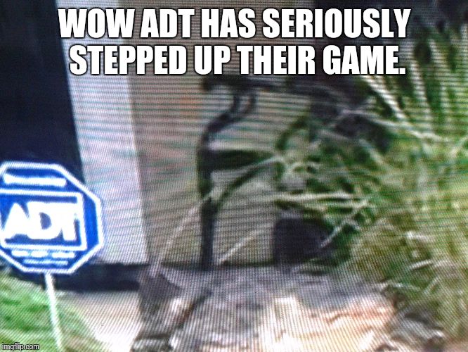 WOW ADT HAS SERIOUSLY STEPPED UP THEIR GAME. | image tagged in security,louisiana,gators | made w/ Imgflip meme maker