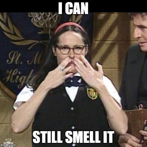 Mary Catherine Gallagher | I CAN STILL SMELL IT | image tagged in mary catherine gallagher | made w/ Imgflip meme maker