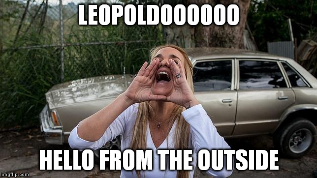 LEOPOLDOOOOOO HELLO FROM THE OUTSIDE | image tagged in hello | made w/ Imgflip meme maker