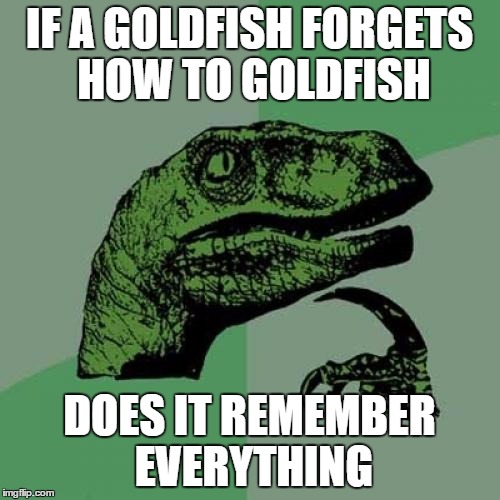 Philosoraptor | IF A GOLDFISH FORGETS HOW TO GOLDFISH DOES IT REMEMBER EVERYTHING | image tagged in memes,philosoraptor | made w/ Imgflip meme maker