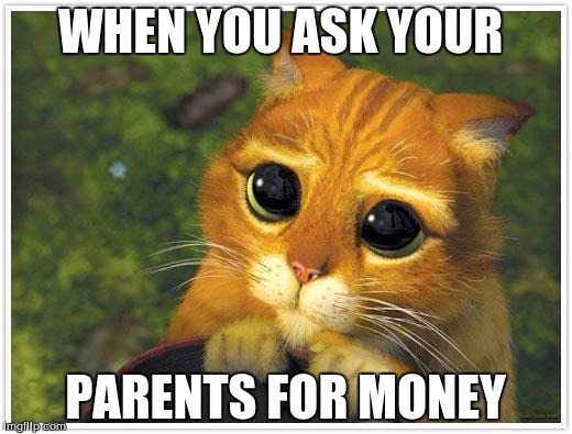 Shrek Cat Meme | WHEN YOU ASK YOUR PARENTS FOR MONEY | image tagged in memes,shrek cat | made w/ Imgflip meme maker