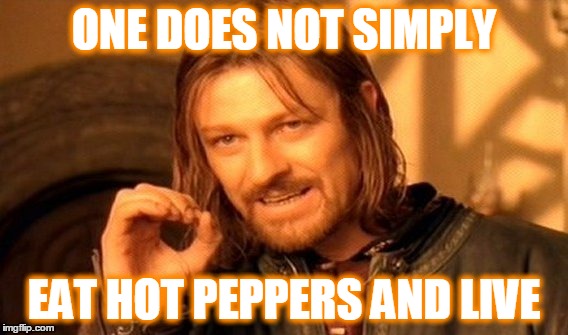 One Does Not Simply | ONE DOES NOT SIMPLY EAT HOT PEPPERS AND LIVE | image tagged in memes,one does not simply | made w/ Imgflip meme maker